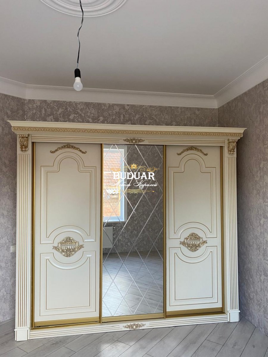 Шкаф-купе Веста 3-х дв.260 см